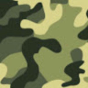 Meet your Posher, Garrett